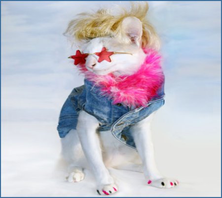 Jan. 14 – Dress Up Your Pet Day