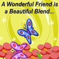 Friendship Card