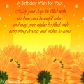 Birthday Card