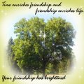 Friendship Card