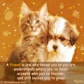 Friendship Card