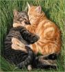 Jan. 06 – Cuddle Up Day