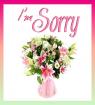 I’m Sorry Card