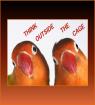 Jan. 05 – National Bird Day