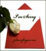I’m Sorry Card