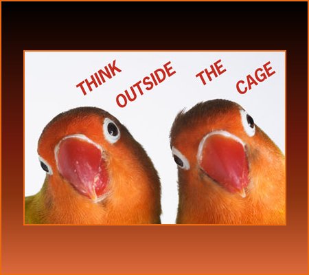 Jan. 05 â€“ National Bird Day