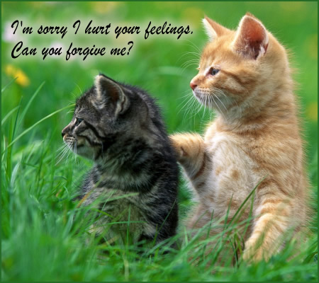 Iâ€™m Sorry Card