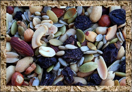 August 31 - Trail Mix Day