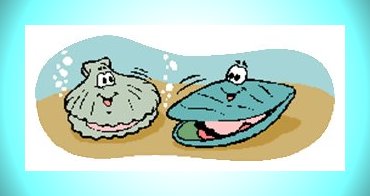 Mar. 31 - Calm On The Half Shell Day
