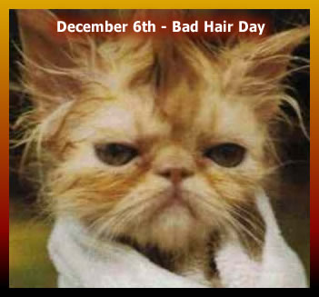 Dec. 06 - Bad Hair Day