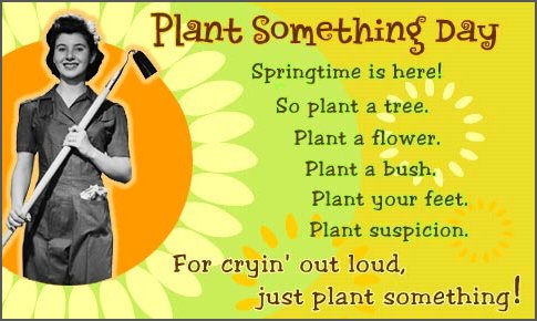 May 19 - Plant Something Day