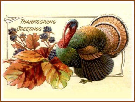 Thanksgiving Card