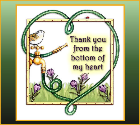 Thank You Card