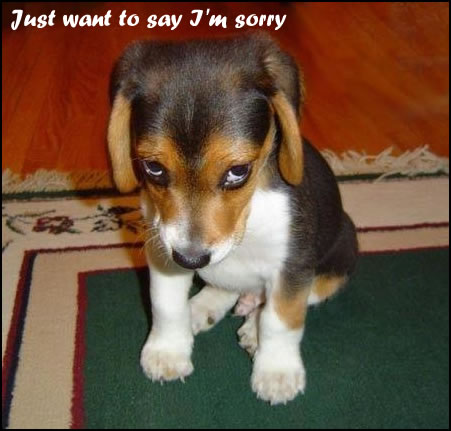 Iâ€™m Sorry Card