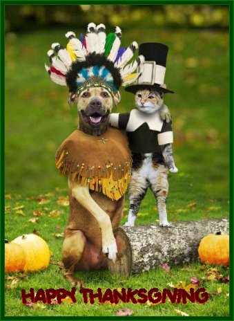 Thanksgiving Card