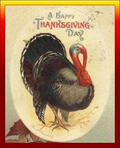 Thanksgiving Card