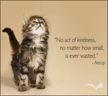 Feb. 17 - Random Acts of Kindness Day