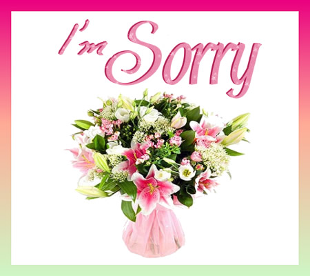 Iâ€™m Sorry Card