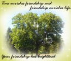 Friendship Card