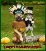 Thanksgiving Card