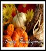 Thanksgiving Card