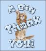 Thank You Card