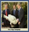 Thanksgiving Card